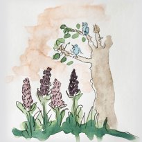 Lupiner